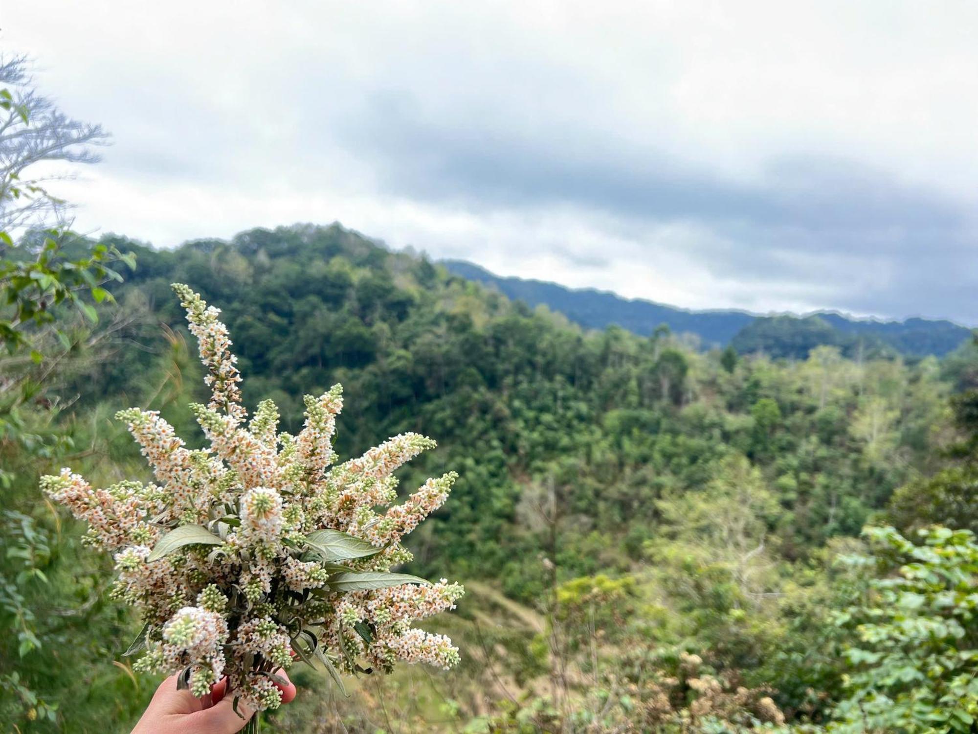 Lan Rung Homestay Lung Nieo Luaran gambar